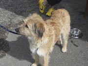 Bauernmuseum Nendingen