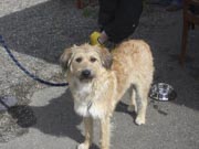 Bauernmuseum Nendingen