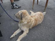 Bauernmuseum Nendingen